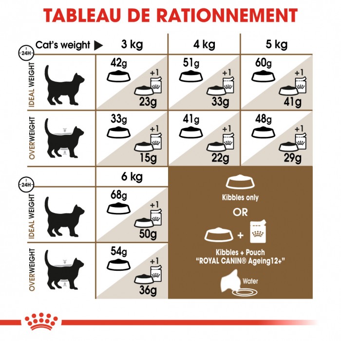 Royal Canin Ageing 12+