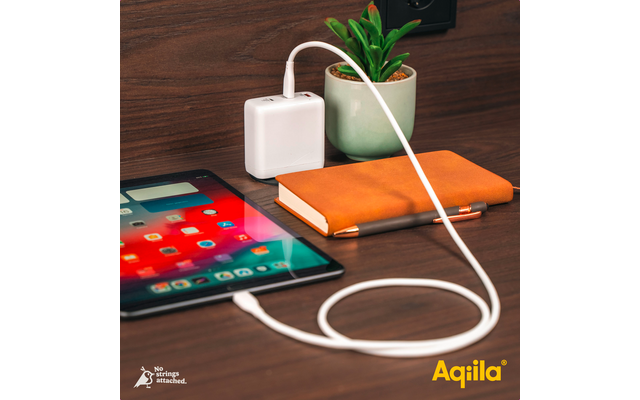 Aqiila Chargebird Steckerlader