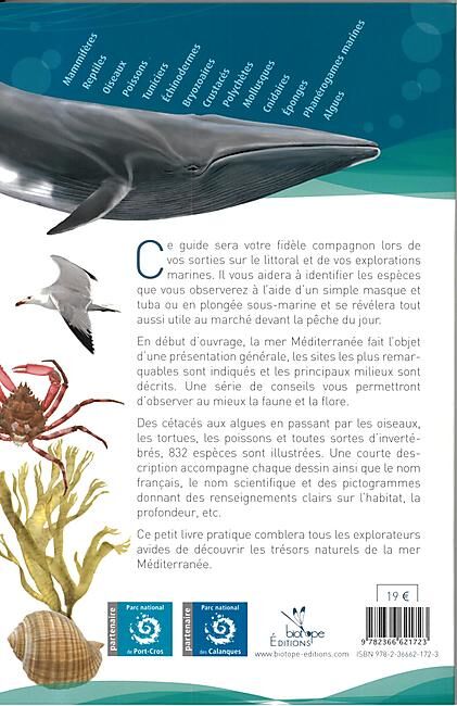 FAUNE ET FLORE DE LA MER MEDITERRANEE