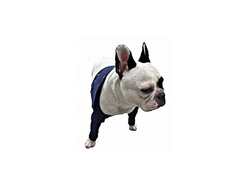 Medical Pet Shirt Taz2 dubbel maat S