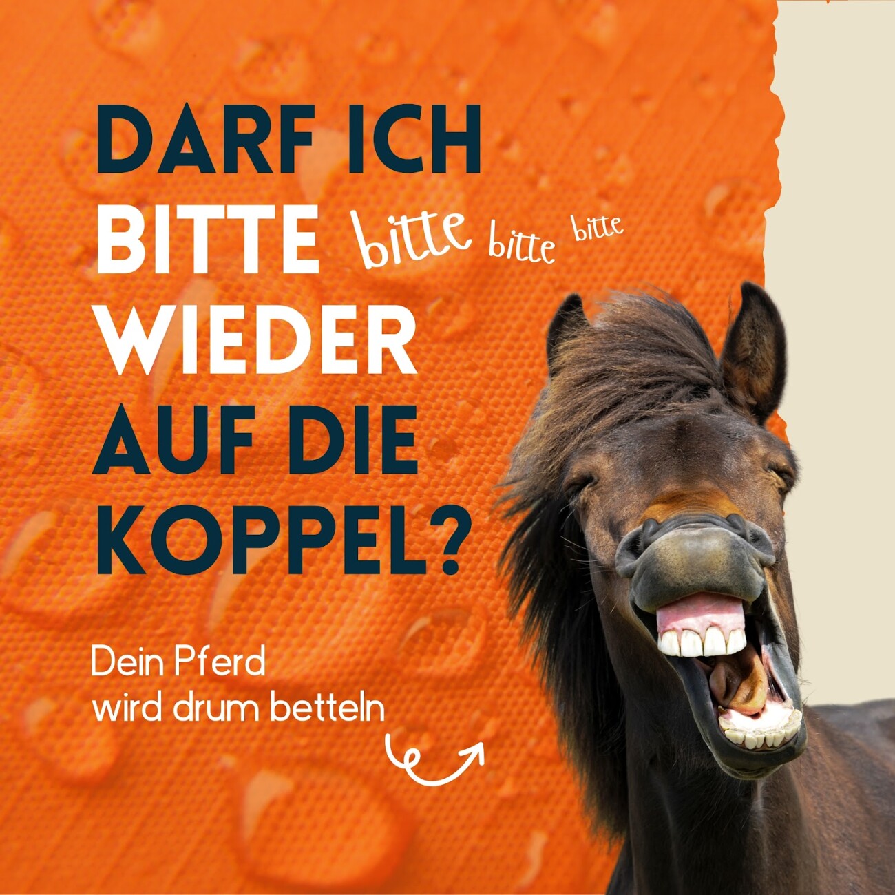nimo Imprägnierspray für Pferdedecken 500 ml