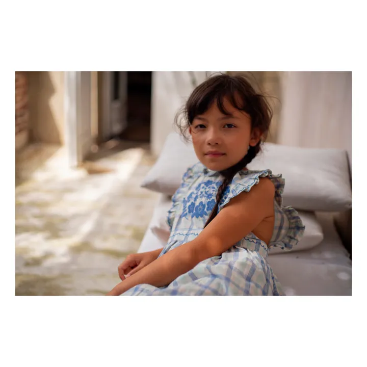 Lali Robe Clover à Carreaux Brodée | Bleu