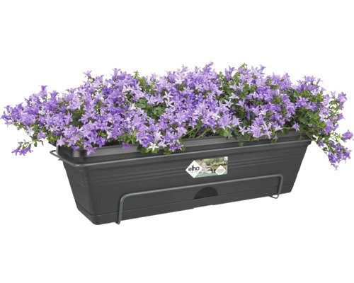 elho Green Basics kunststof bloembakset, 50x18x14 cm, zwart, inclusief beugel en schotel