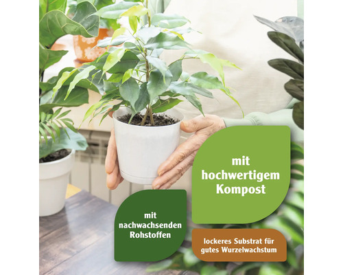 FloraSelf 10L potgrond voor kamerplanten en palmen
