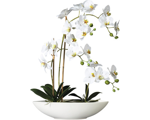 Kunstplant Phalaenopsis, hoogte: 60 cm, wit