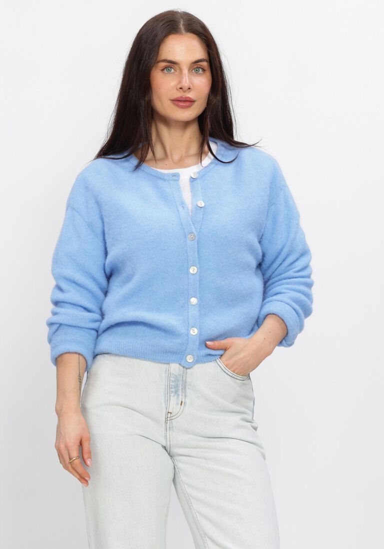 blauwe american vintage trui vitow