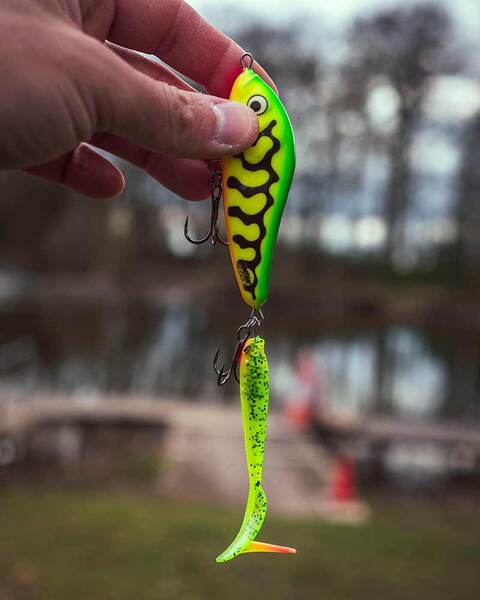 Vis d’attache Fox Rage Strike Point Hitcher (6 pièces)