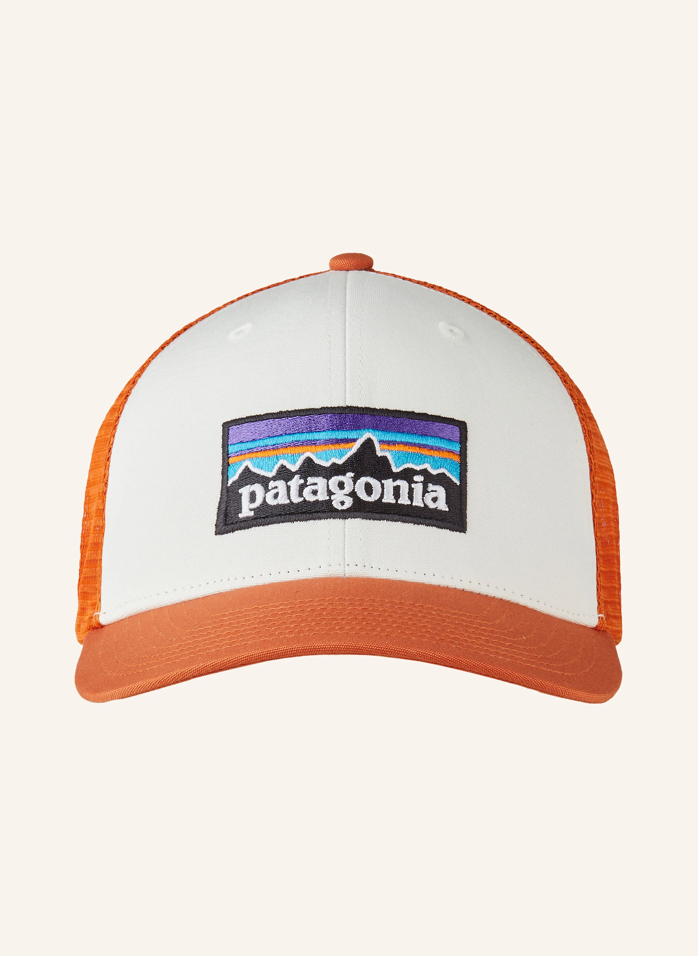 patagonia Cap P-6