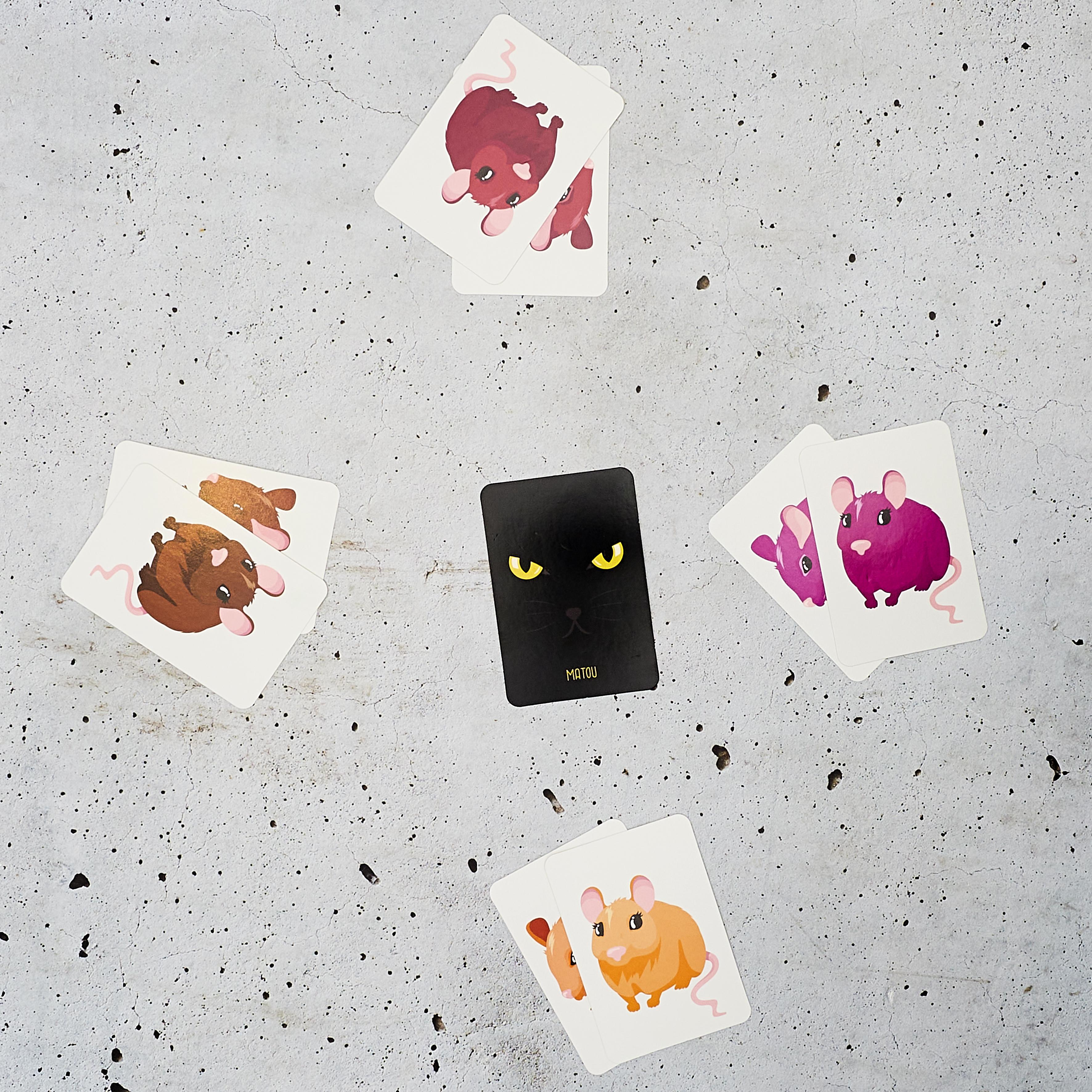 JEU DES PAIRES 60 CARTES