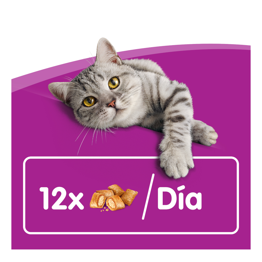 Whiskas Temptations Petiscos de Frango e Queijo para Gatos
