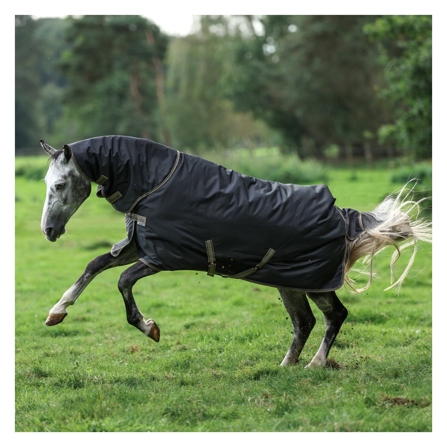 bucas Outdoordecke Freedom Turnout Full Neck Light - schwarz/taupe