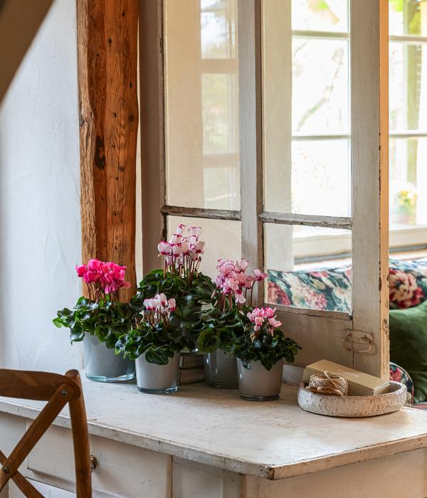 Dehner Glas-Übertopf Conner, konisch