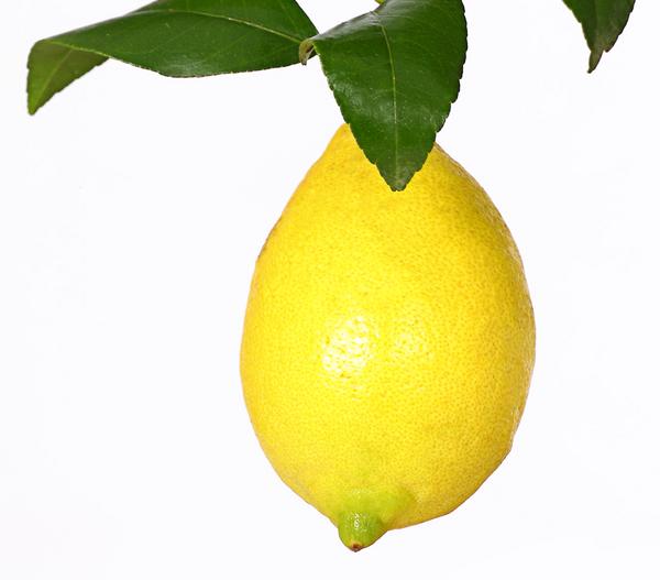 Echte Zitrone