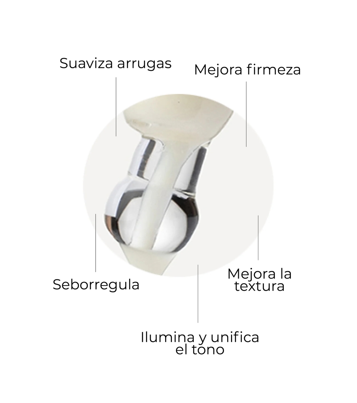 SEGLE - Pacote antienvelhecimento Well Aging Set