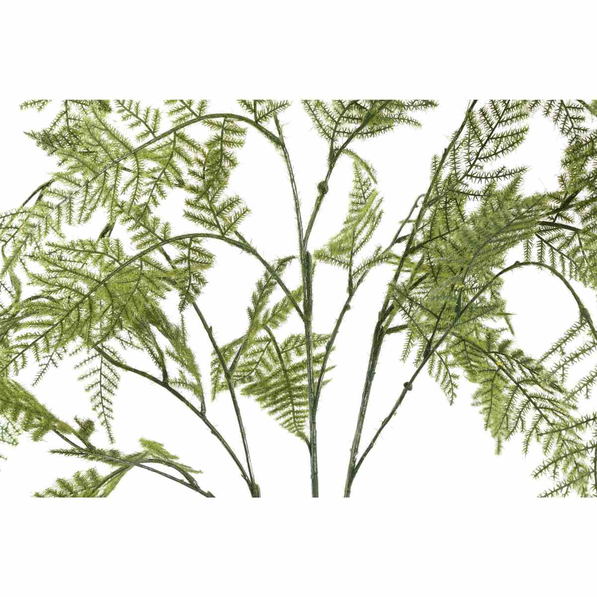 Ptmd branche artificielles asperges - 110x55x114 cm - plastique - vert