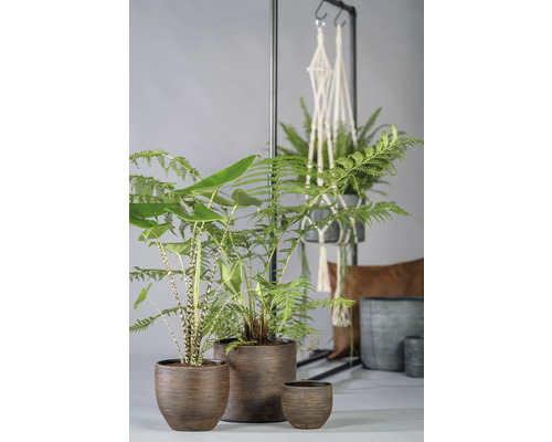 Le Havre bloempot Ø 14 cm H 12 cm keramiek bruin