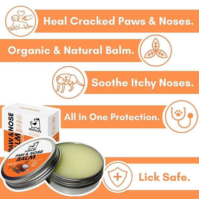 DogsLife Paw & Nose Balm Hond 60 ml | 12991