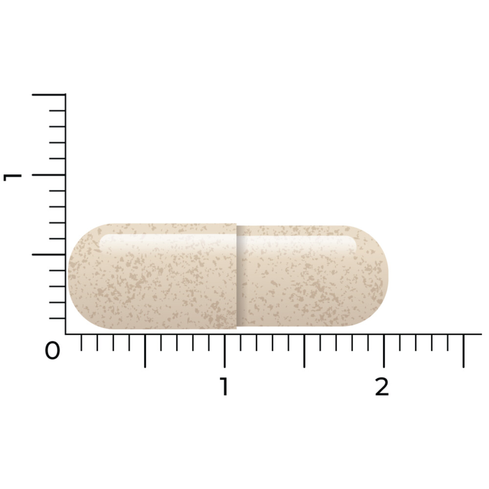 Vitakruid Ashwagandha Ksm 90 capsules