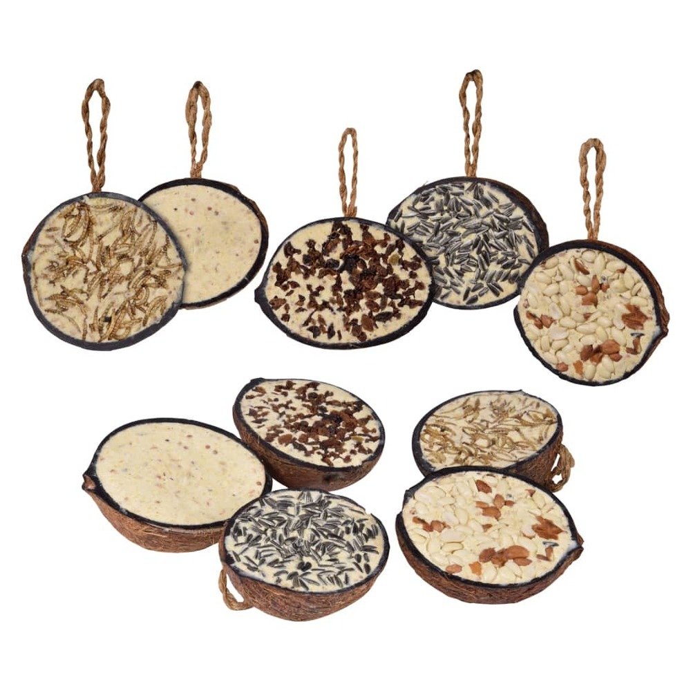 1/2 noix de coco garnitures à 5 saveurs oiseaux sauvages 10 pcs