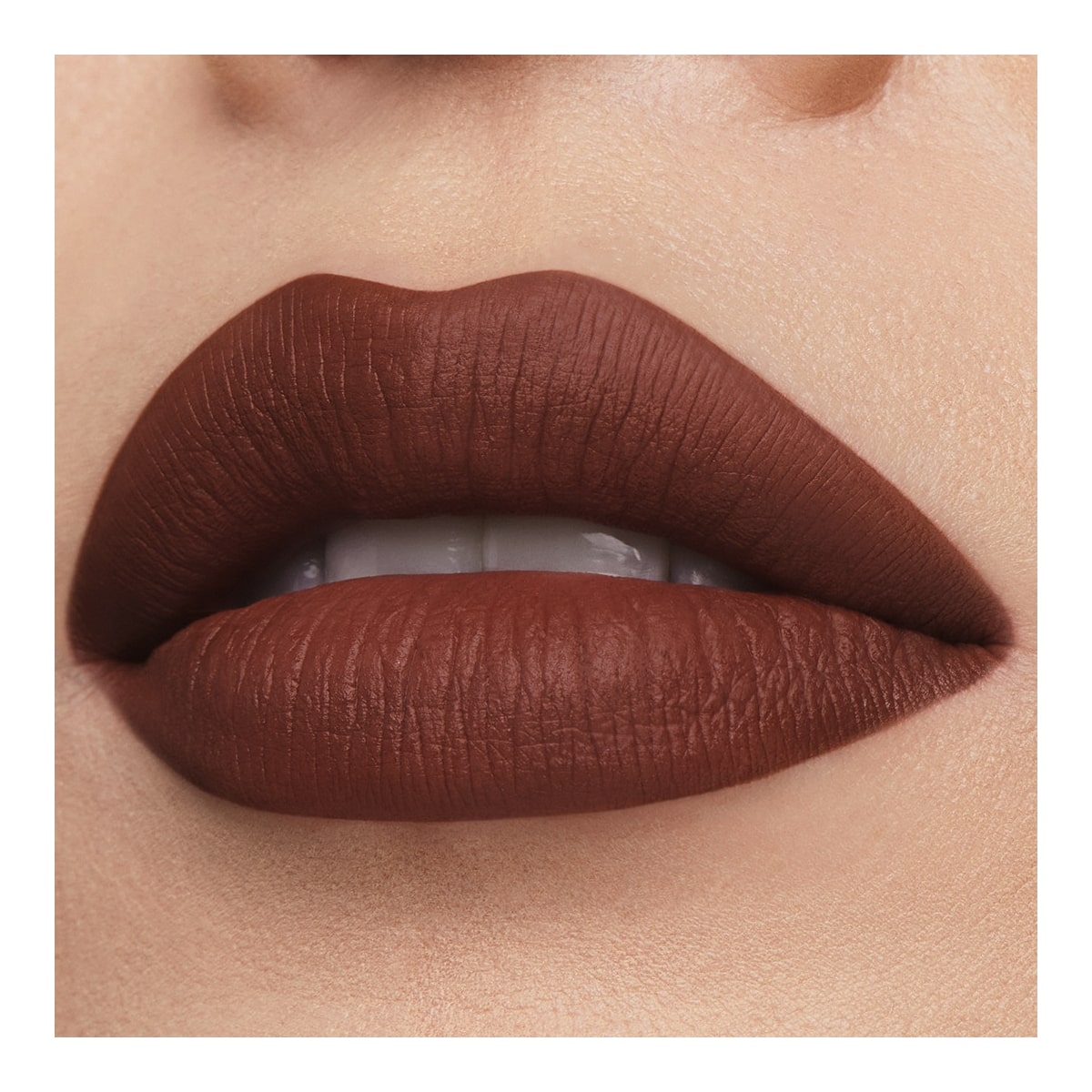 ESTEE LAUDER Pure Color Rouge à Lèvres Mat