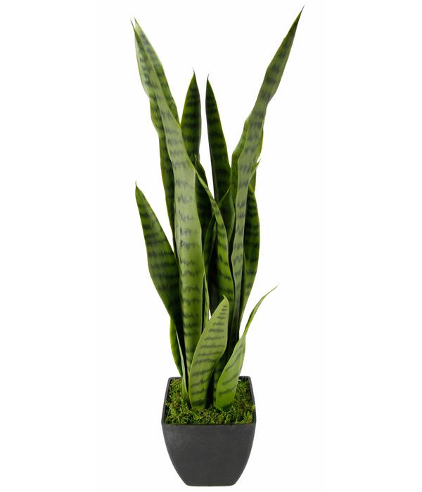 I.GE.A. Kunstpflanze Sansevieria im