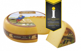 Jerseyhoeve Schorren oude biologische Jerseykaas