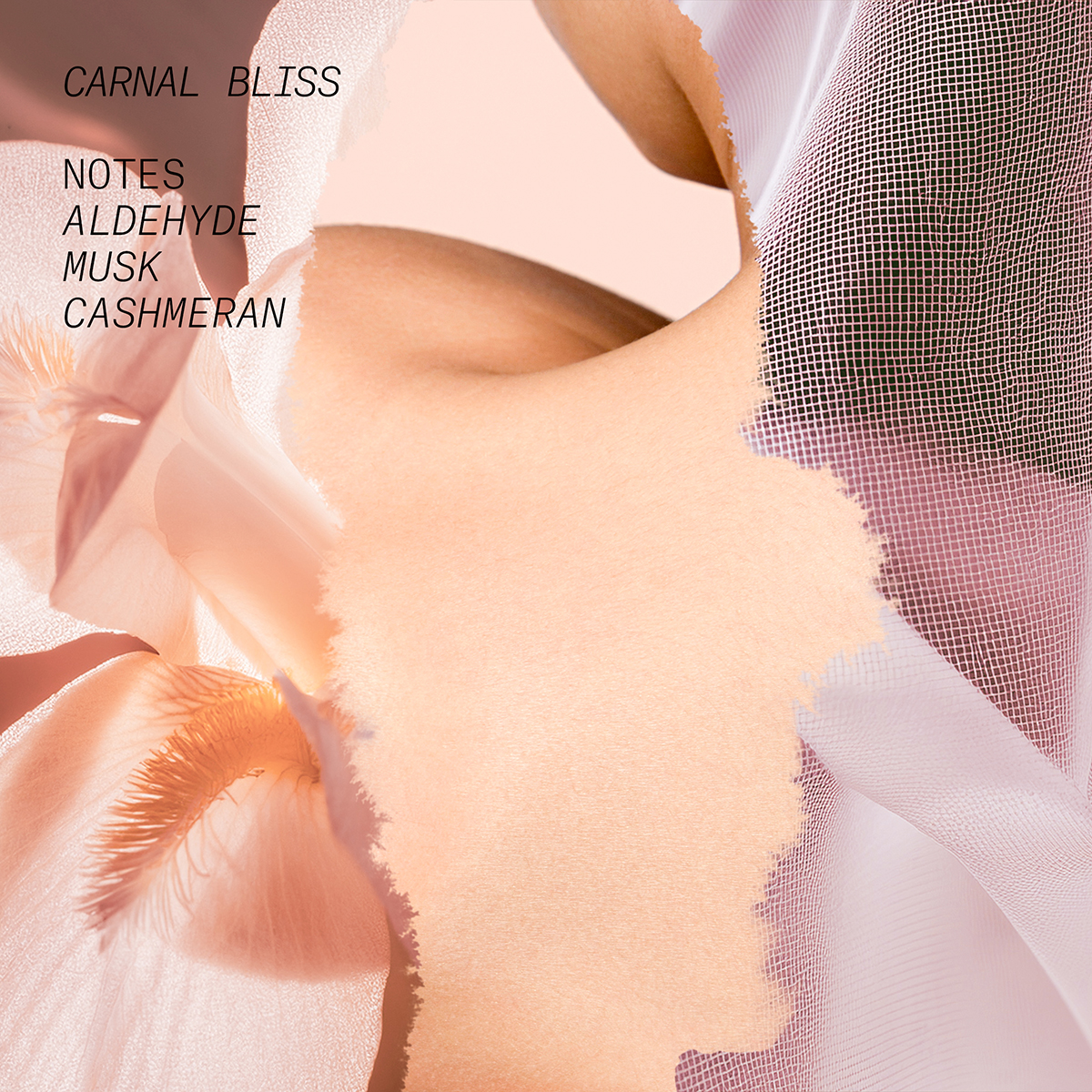 Carnal Bliss Eau de Parfum 100ml