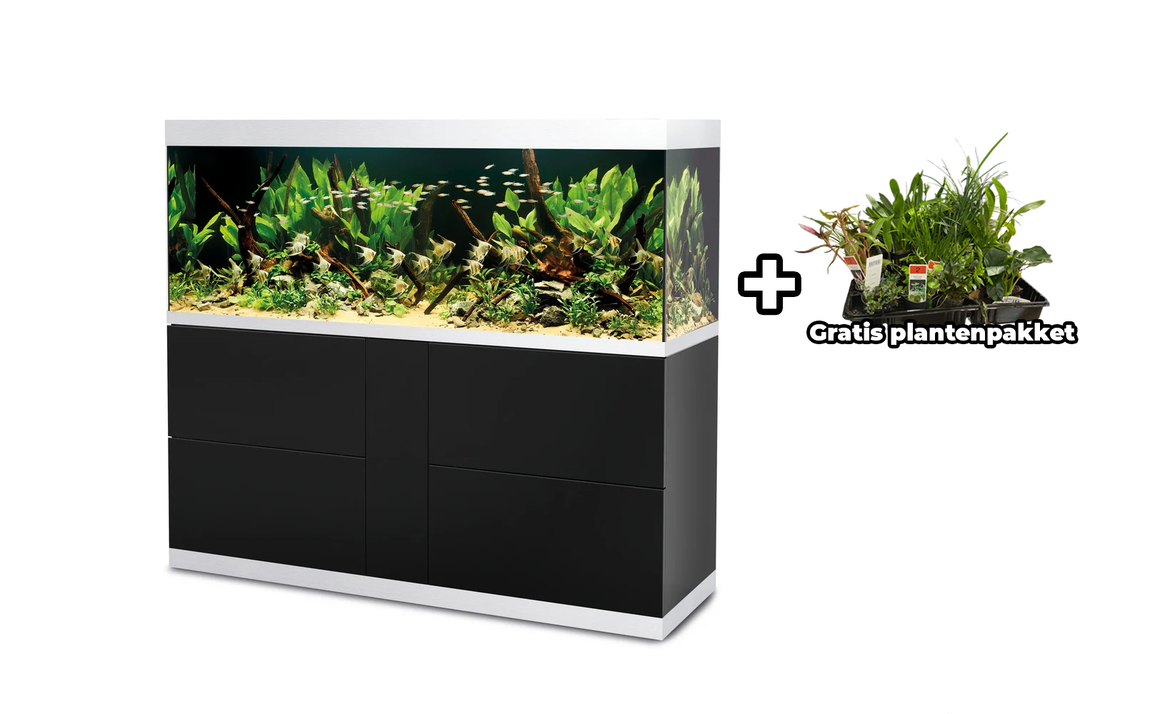 Oase HighLine 600 Optiwhite Set Zwart | Nieuwe aquaria