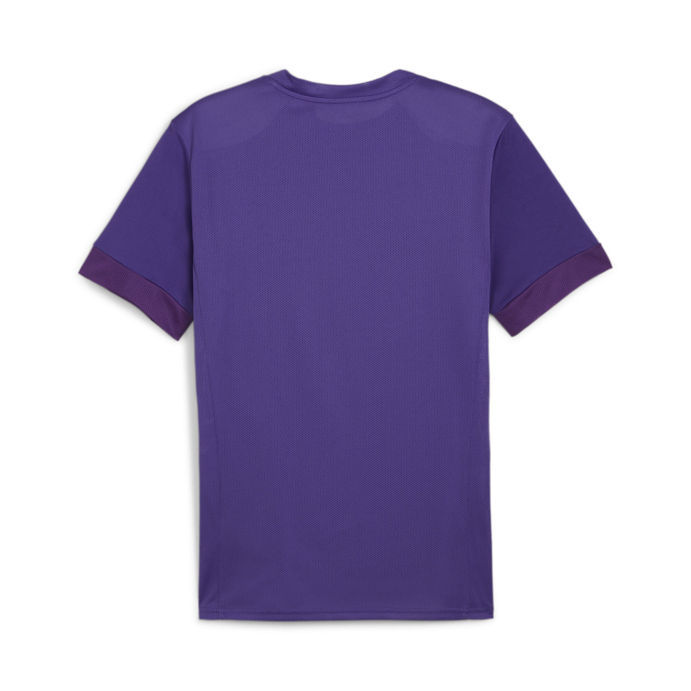 PUMA teamGOAL Matchday Voetbaltenue Paars Wit