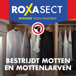 Roxasect Mottenpapier 2ST