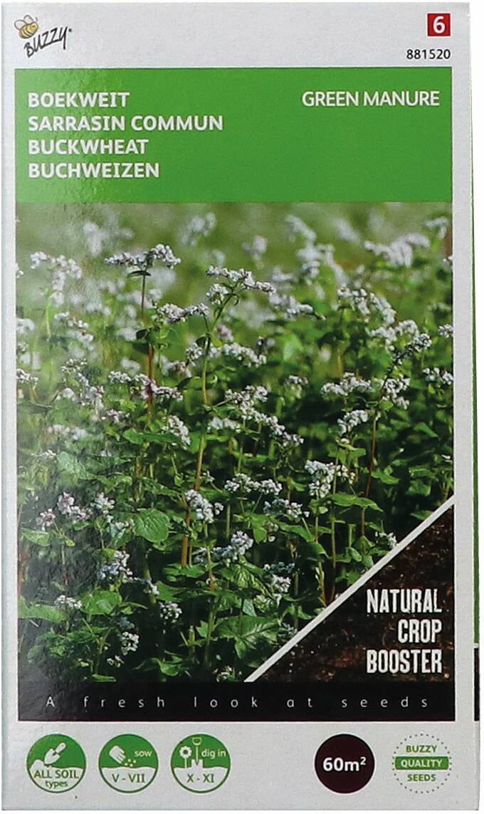 Buzzy seeds groenbemester boekweit (Fagopyrum esculentum) 150 gr