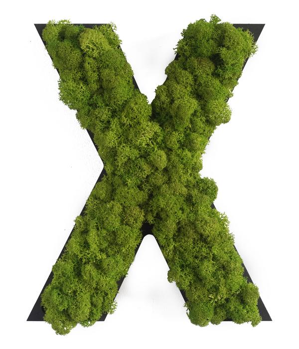 styleGREEN Buchstaben aus Islandmoos, ca. H25