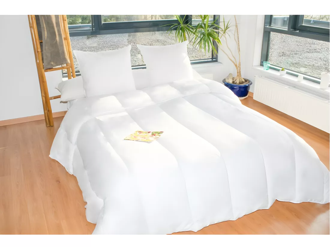 Couette Protection Totale Anti Acariens 400 Gr/m² 220 X 240 Cm 2 Places 140 X 190 Cm À 160 X 200 Cm