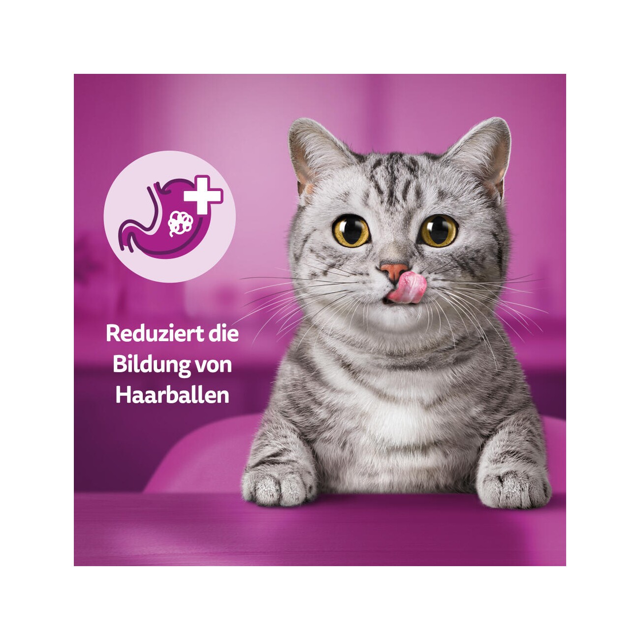 Whiskas Snacks, Anti-Hairball, Huhn 6x50 g