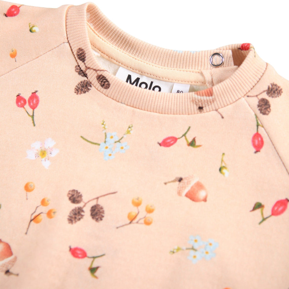 Køb Molo Foraging Rose Disc Sweatshirt