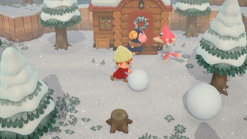 Animal Crossing: New Horizons - Nintendo Switch - Engelstalige hoes