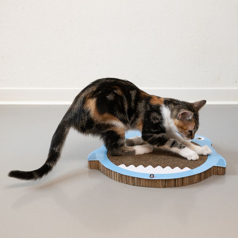 Griffoir TIAKI Requin pour chat