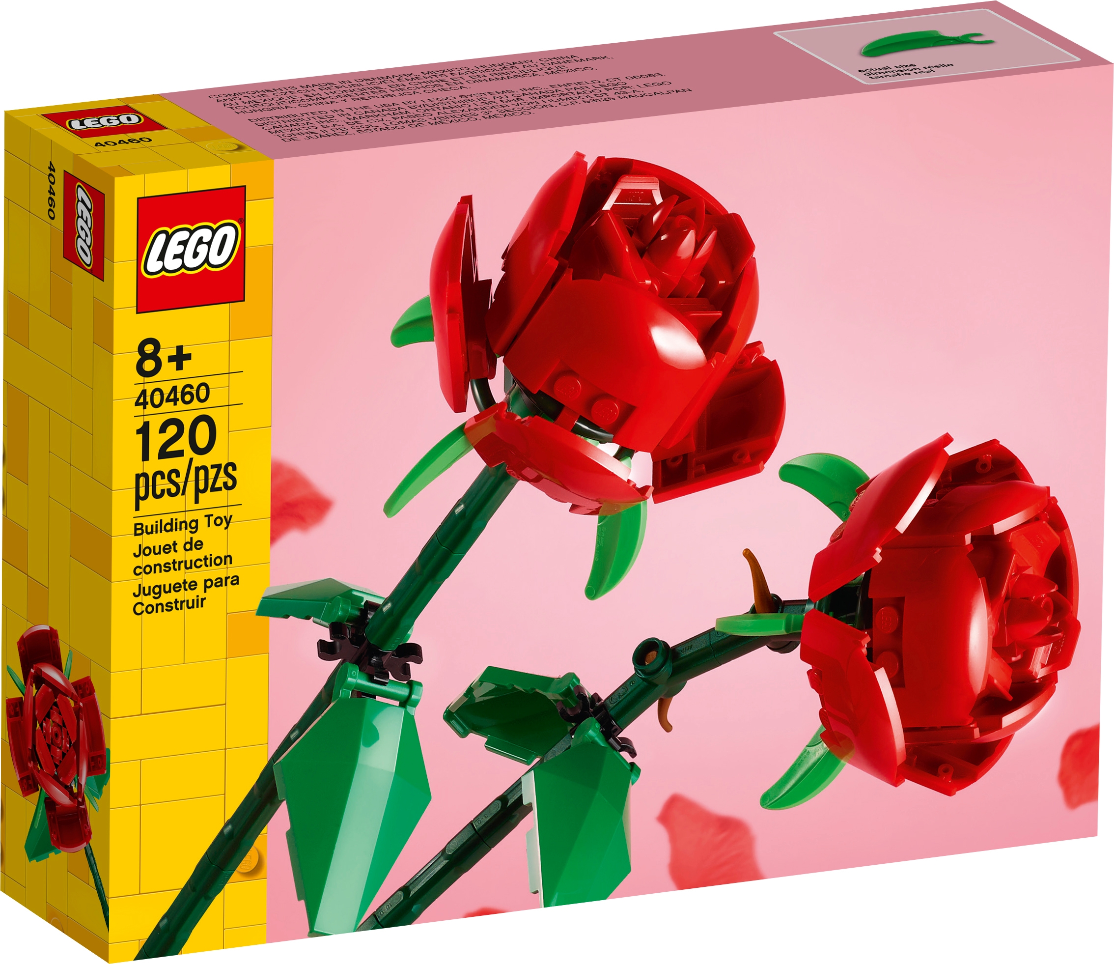 Rosas 40460