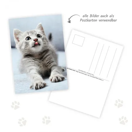 Trötsch Postkartenkalender 