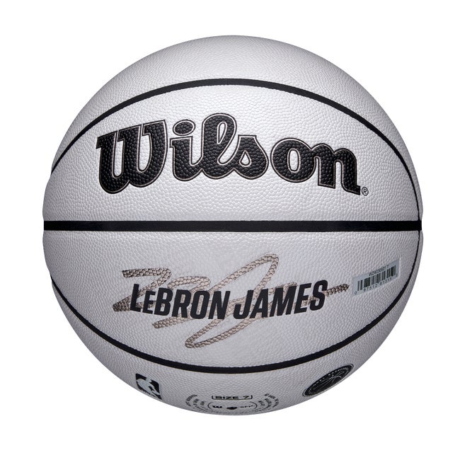 NBA Player Icon UV Basketball - Lebron