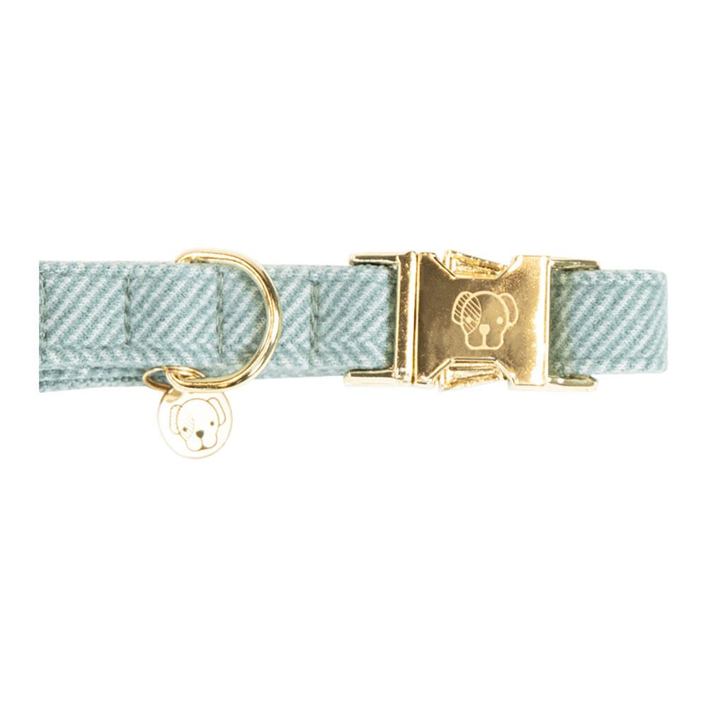 Kentucky LAINE -  Collier pour chien bleu clair