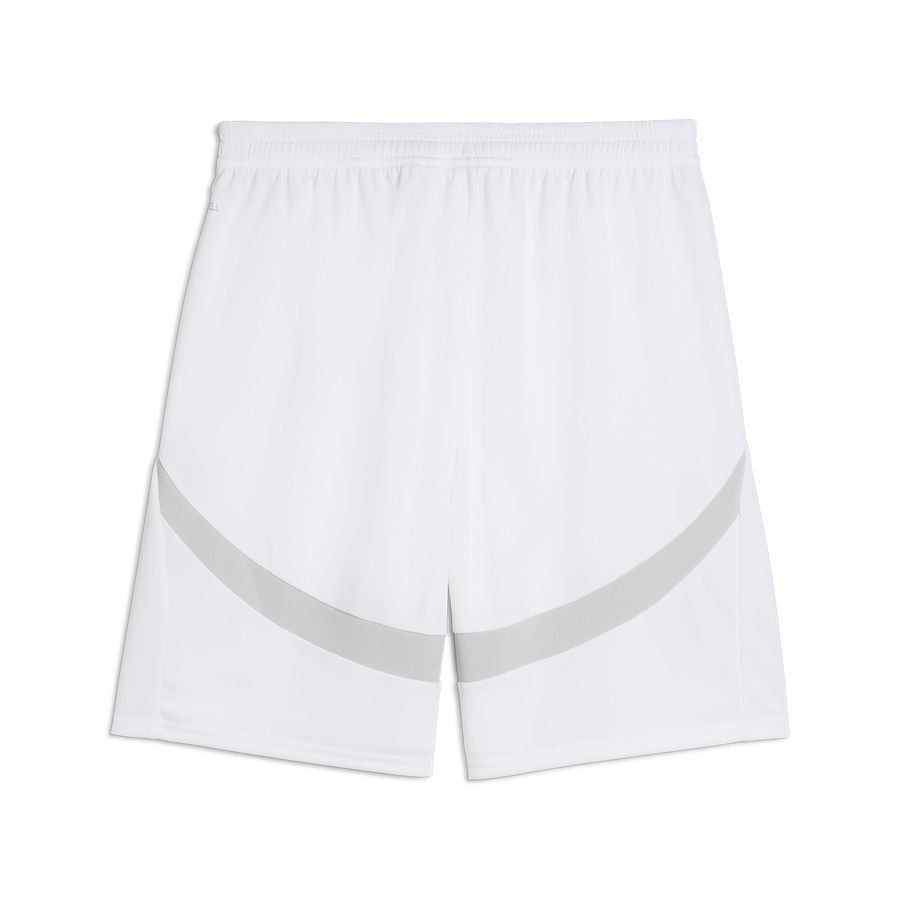 Puma Stade Rennais F.C. 24/25 Shorts