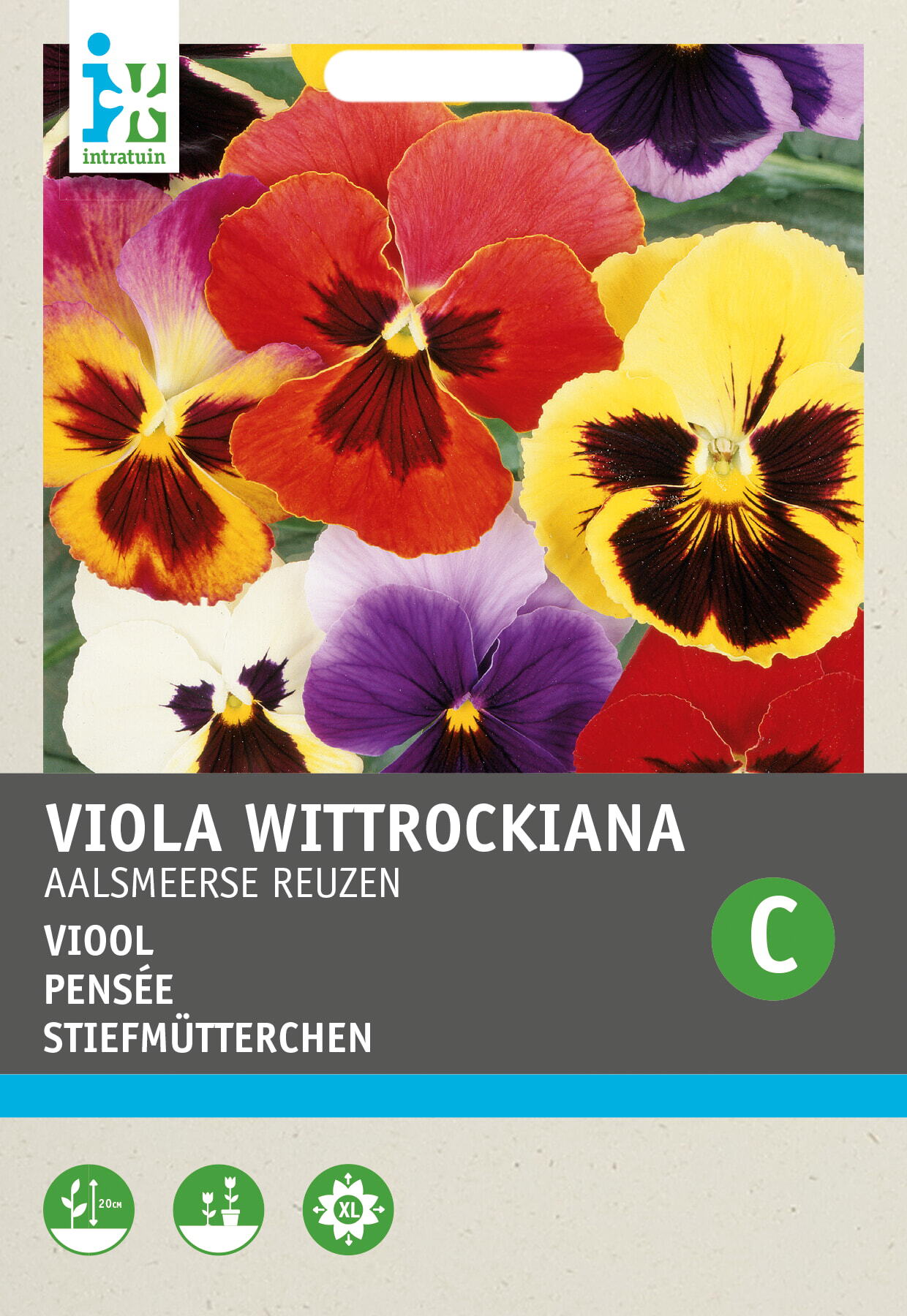 Intratuin bloemenzaad Viooltje gemengd (Viola wittrockiana 'Aalsmeerse reuzen')