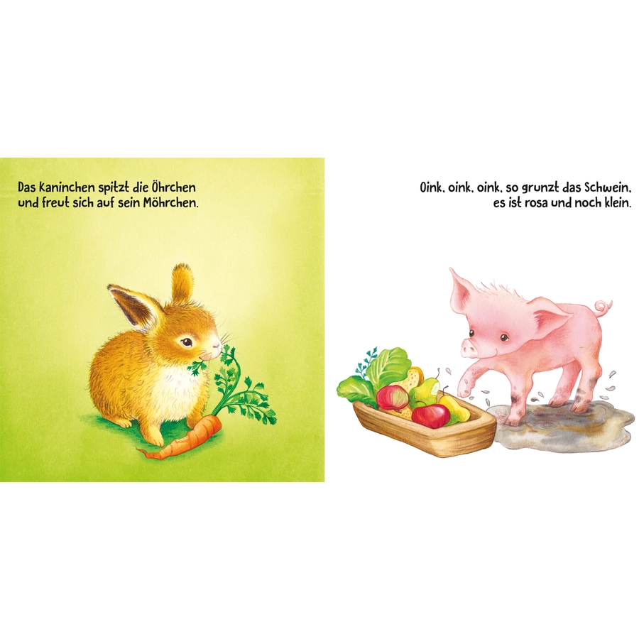 Carlsen Meine lieben Tiere