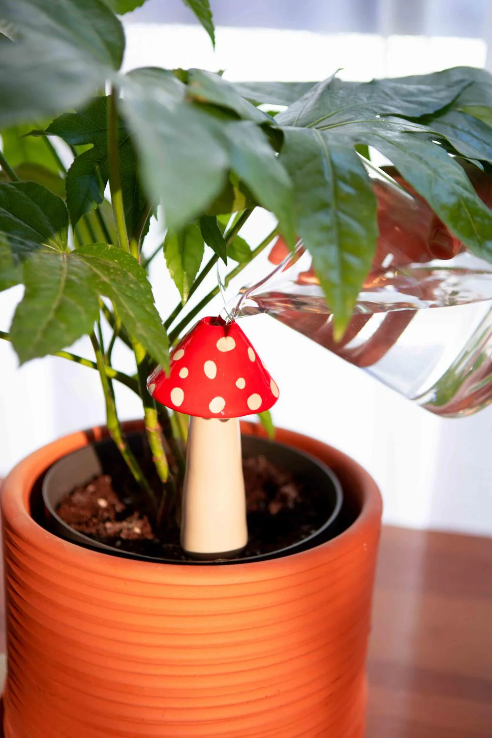 Doiy  Amanita plantevander - rød