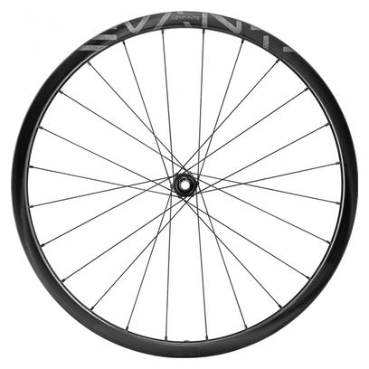 Paire de Roues Campagnolo Levante 700 mm | 12x100 - 12x142 mm | Center Lock | 2022