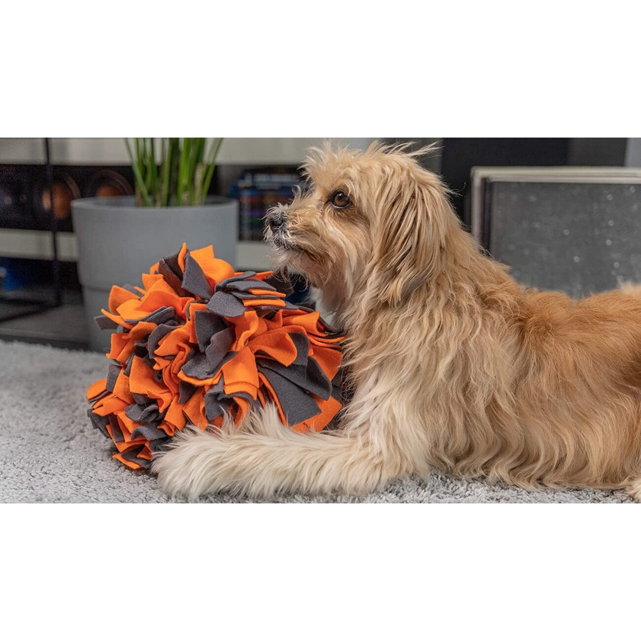 TrendPet Schnüffelball orange