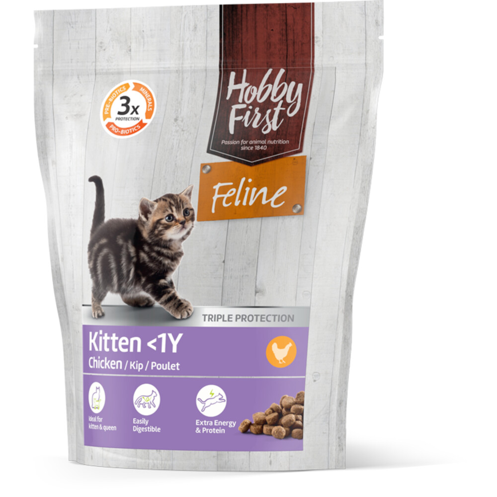HobbyFirst Feline Kitten