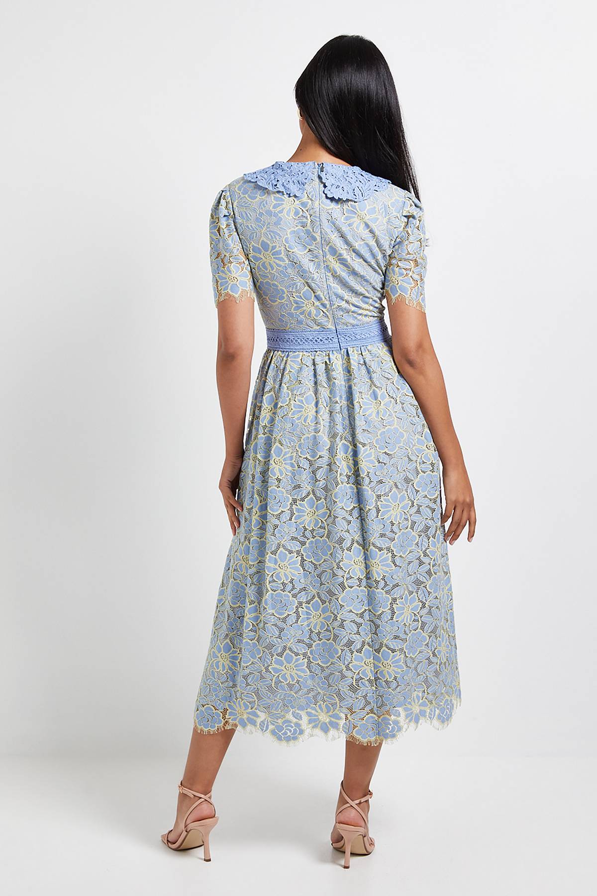 Wallis Robe Midi Boutonnée à Col en Dentelle Petite Taille