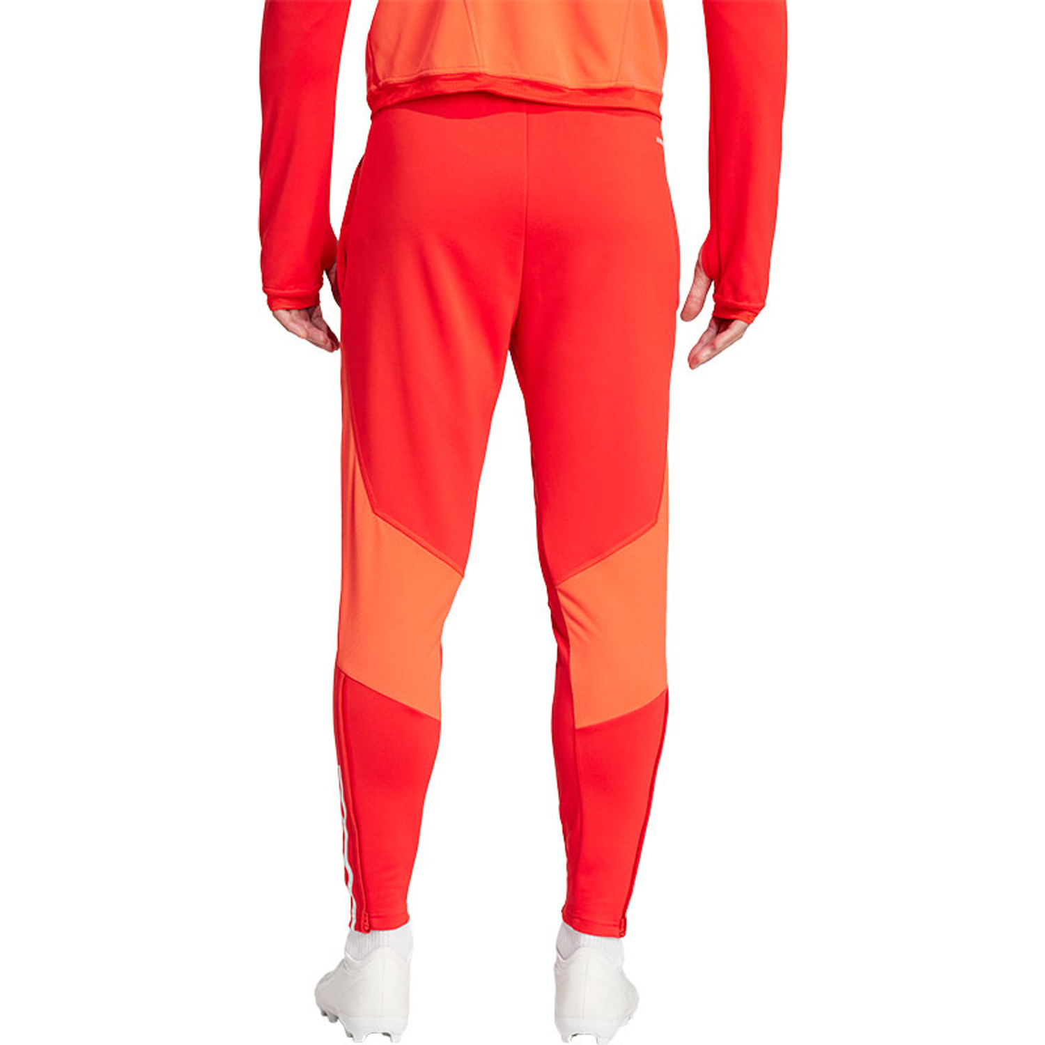 adidas Bayern Munchen Trainingspak